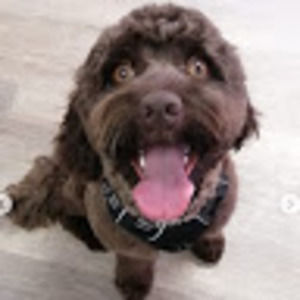 Meet your Posher, Linda